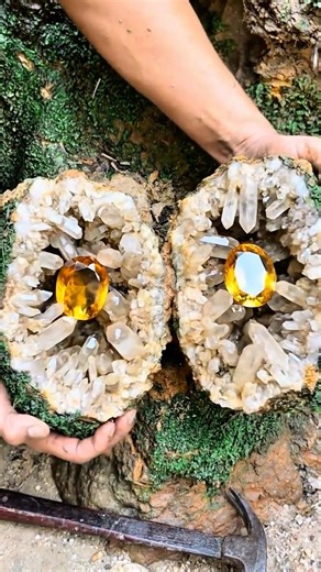 I Cracked This Rock Open… and Found Two Golden Gems Inside!