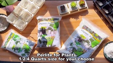 Organic Perlite for Plants, Enhances Soil Drainage and Aeration, Perfect Perlite for Plants Indoor & Outdoor, Horticultural Perlite for Gardening, Perfect for Potting Mixes, 1QT