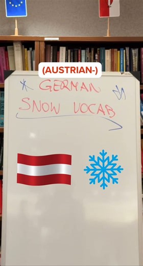 Getting tired of the snow in DC? We've got you covered! 💪🏻 Here is some Austrian-German snow vocab to get you through this period ❄️ An extra perk: You get to meet our newest colleague, Mr Schnee Mann! 🤗 © Song: Let It Snow! Let It Snow! Let It Snow! By Dean Martin | Embassy of Austria, Washington D.C.