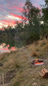 4.5K views · 255 reactions | Looking for more information? ⬇️ Score...