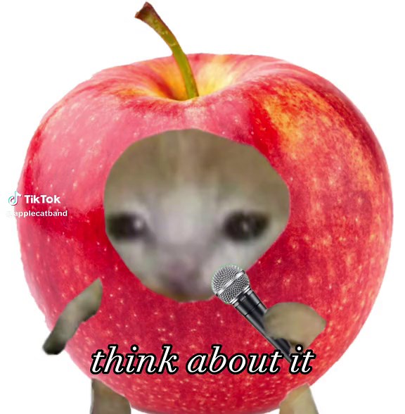 purrrrrce the veil w lead singer pit fuentes 🐱 apple cat band debut - - - #cat #cats #piercetheveil #vicfuentes #music #cutecat #cute