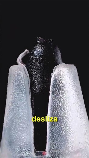 THIS IS HOW YOU SHOULD REMOVE THE LABELS!