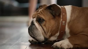 69K views · 6K reactions | Take a little time for yourself this weekend, pop your feet up, open up The Saturday Age or The Sunday Age and #TakeBackTheWeekend. Relax and drift away with everything on offer in the paper this weekend: bit.ly/theageweekend | The Age | Facebook