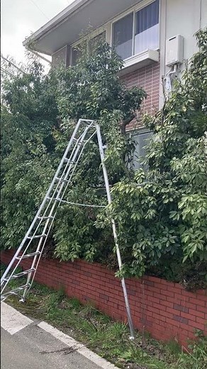 園芸用三脚脚立