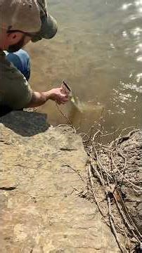 This is a first!! #fishing #musky #jerkbaits