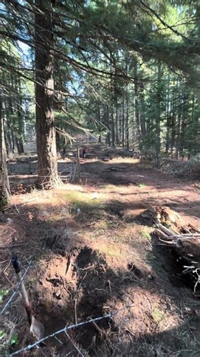 How was that a 10 footer? ￼