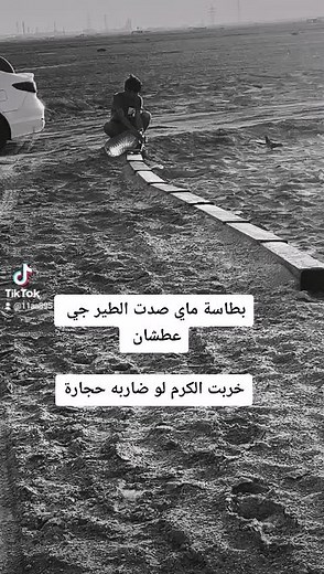 Car Washing Techniques for Beginners