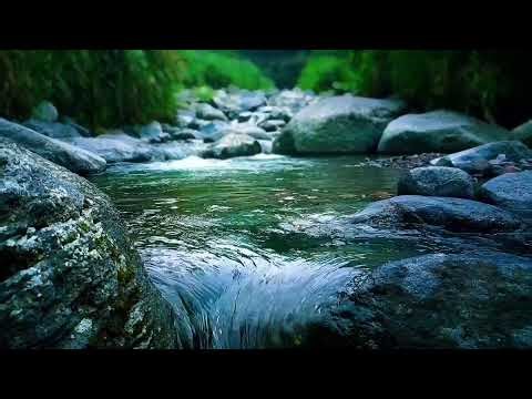Relax and Drift Off Easily with Slow River Sounds That Soothe Your Mind