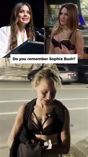 From One tree hill queen to quietly fading away—here’s her story.#sophiabush #onetreehill #2000s #wherearetheynow #teendramalcon