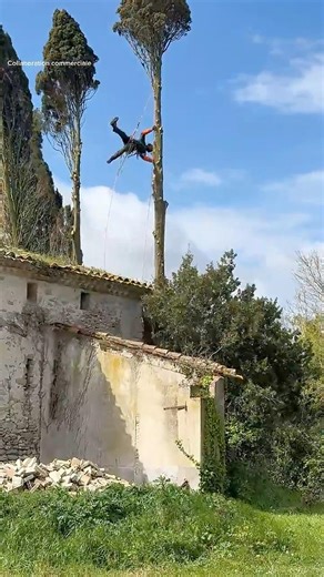 C’est long le nettoyage 🔥 #renovation #extérieur #travaux #LUBA3AWD #mammotion #tondeuse #jardin