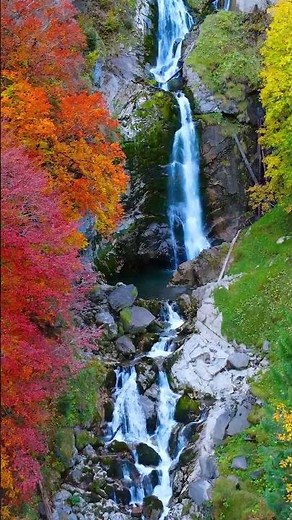 Autumn Nature Scenes + Relaxing Piano Music for Stress Relief