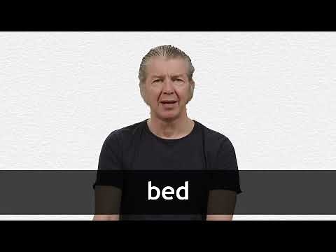 How to pronounce BED in American English