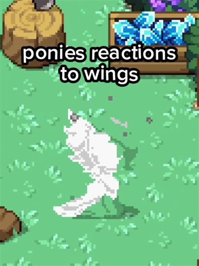 Remembering a Special Day in Ponytown