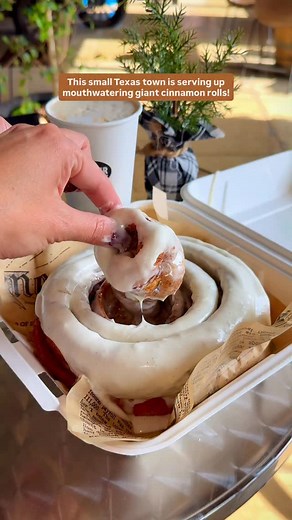 If you’re looking for some of the best cinnamon rolls in Texas, you’ll find them in the small town of Boerne at Richter Bakhaus. These Texas-sized beauties are made fresh daily but do sell out fast, so it’s best to get there early or call ahead to make sure you get one. Each roll is around $10, and there’s a limit of three per person. You can ask for their vanilla bean icing on top or on the side — and make sure to have it warmed up! 📍 153 S Main St, Boerne, TX 78006 #cinnamoroll #cinnamonrolls