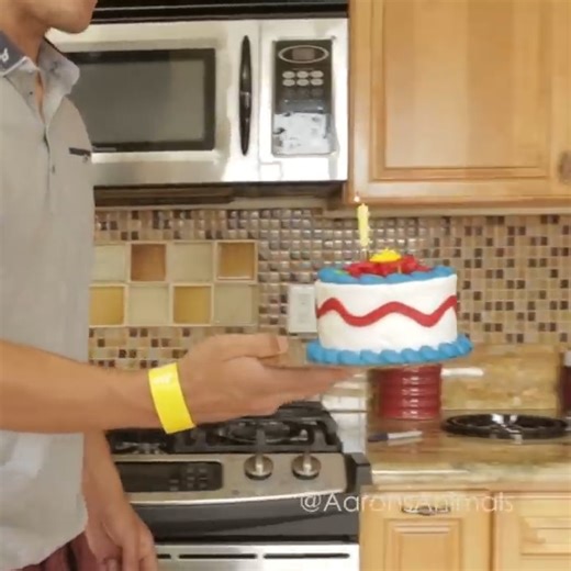 324K views · 7.9K reactions | Happy Birthday | Aaron's Animals | Facebook