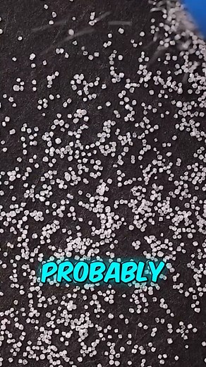 27 reactions · 3 comments | What’s the truth about MSG?! #shorts #trending #amazing #shortsviral #interesting #shortsfeed #shortsvideo #viral #fyp #daily | Real’Quick | Facebook