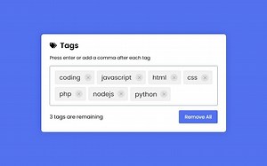 【代码】在HTML CSS和JavaScript中添加标记输入框|在JavaScript中输入标记