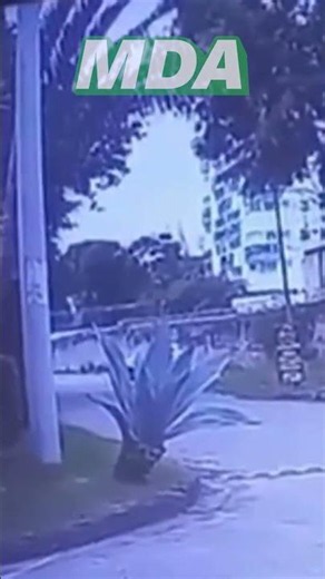 The VIDEO of the HELICOPTER CRASH where GASPI DIED