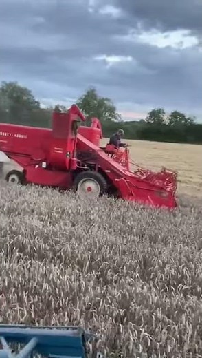 Driving Ransomes 801.