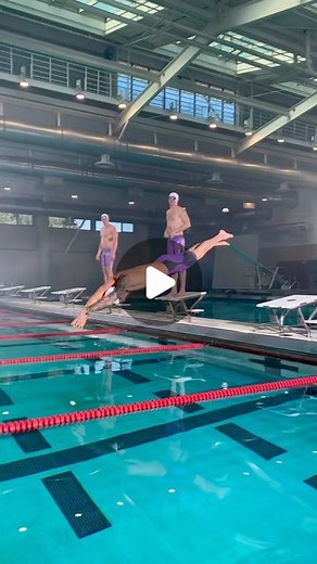 Speedo International on Instagram: "#TeamSpeedo is reigning the pool in the Fastskin Purple Reign!  #Speedo"