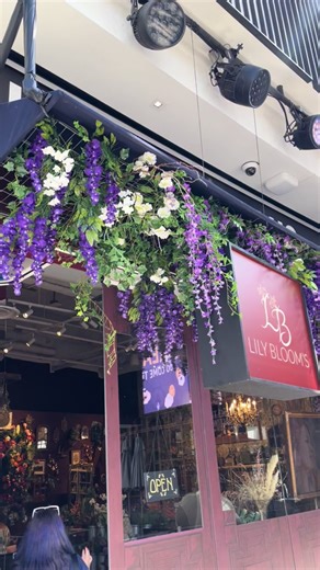 Lily's Flower Shop Visit 🌸🌼 Discovering Floral Delights