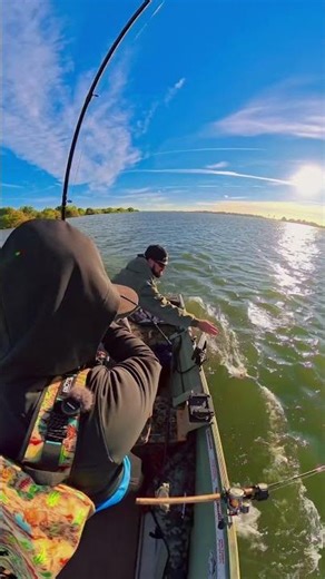 These Striper Can't Resist! 💥🐟