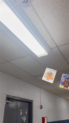 3.4K views · 71 reactions | This month’s take-home project was “Disguise a Turkey,” and our students and families did not disappoint! Our school is filled with the most creative turkeys trying their best to stay hidden. We are so proud of the hard work and imagination that went into each one! 旅 | Tazewell - New Tazewell Primary School | Facebook