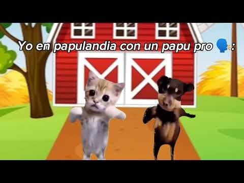 En papulandia hay un papu 🗣️