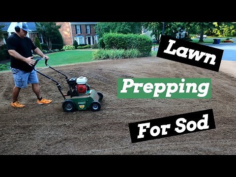 How To: Prepping My Lawn For New Sod!!
