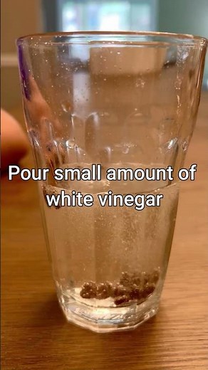 Dancing Raisins Science Experiment