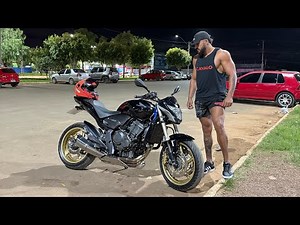 HORSE BOUGHT A ZERA HORNET