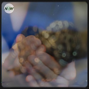 94K views · 5.2K reactions | Adorable Clouded Leopard Cubs Born at Tacoma Zoo: A Milestone for Conservation—[Full story in cᴑmments] | Adorable Things | Facebook