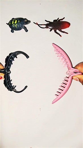 Turtles VS Cockroach #तिलचट्टा Vs #कछुआ #shorts #shortsfeed