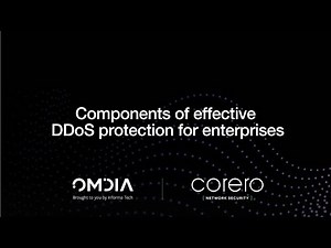 Effective DDoS Protection: Key Components for Enterprises