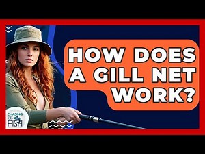 How Does A Gill Net Work? - Chasing Big Fish