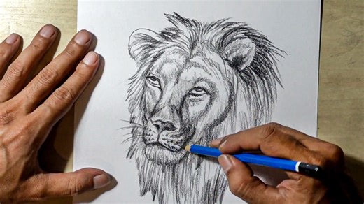 Master lion head anatomy with angle-by-angle drawing practice