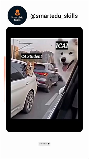 CA result #caaspirants #camotivation