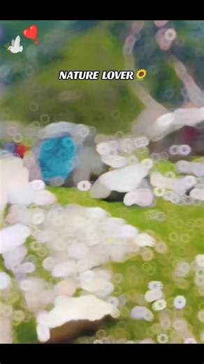 NARAN VALLEY 🥰🫀#viralvideo @mian yasir Arfat @haji parwaz Shopping cntr ghri @AF. @saeed.malik.07 @𝐌𝐄𝐄𝐑 𝐕𝐋𝐎𝐆 🔝