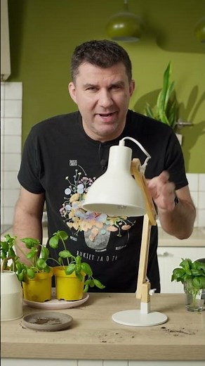 Basil, oregano, and cilantro from the supermarket. It doesn't kill them. 3 great tricks for beaut...