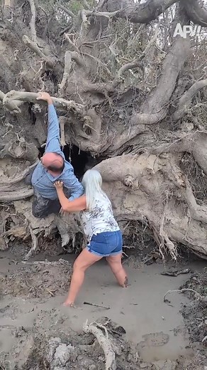 At least, he's not stuck anymore:) #mud #fall | America's Funniest Home Videos