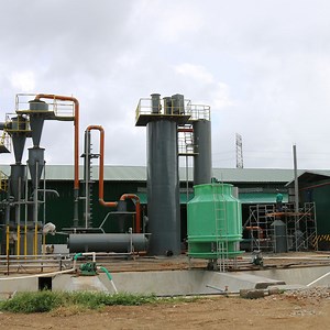 [Hot Item] Electrostatic Dust Removal System for Diesel Generator Exhaust Gas Treatment Esp