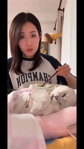 #meo #meow | cat meow