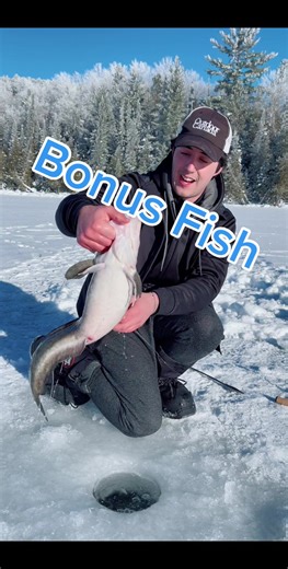 Exploring Freshwater Cod Fishing Adventure in Canada