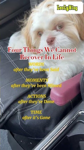 4️⃣ things we can’t recover