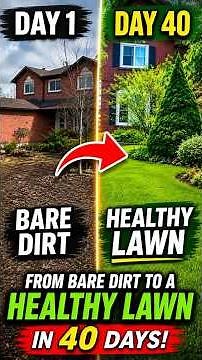 How to Grow a New Lawn from Seed (Step-by-Step Guide)