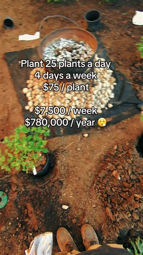Maximizing Earnings in Landscaping: Planting Guide