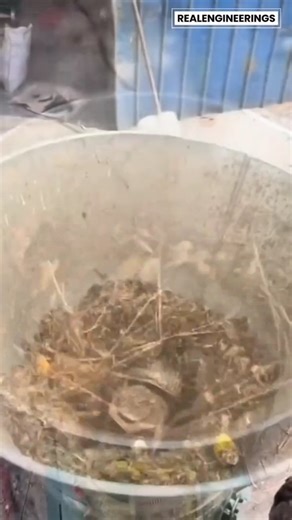 Real Engineerings | Engineering & Technology & Gadgets & DIY on Instagram: "Agricultural Innovation: Sustainable Feed Production with Precision Pelleting! 🌾🚜 ​Observe the seamless transformation of raw organic materials into high-quality animal feed! This advanced Feed Pellet Machine demonstrates the perfect synergy between mechanical engineering and modern farming, designed to optimize nutrition and reduce waste. ​The Art of Pelleting and Compression ​This process is a prime example of high-e