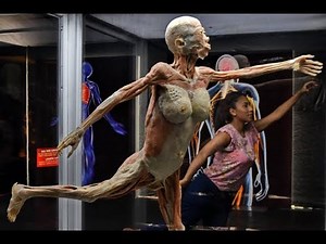 'Bodies', la asombrosa exposición del cuerpo humano que se presenta en Cali