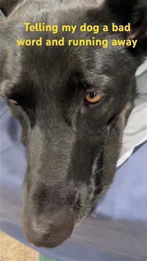 This video has a name