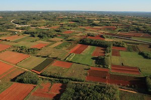 Istria: 25 Things to Know About the Terra Magica, a Croatian Jewel - Total Croatia